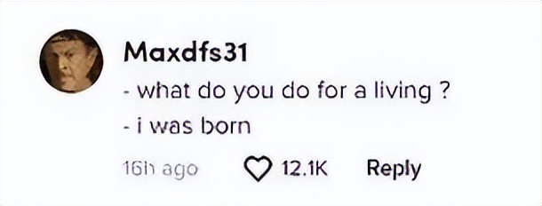 布鲁克林开跑车,布鲁克林厨师