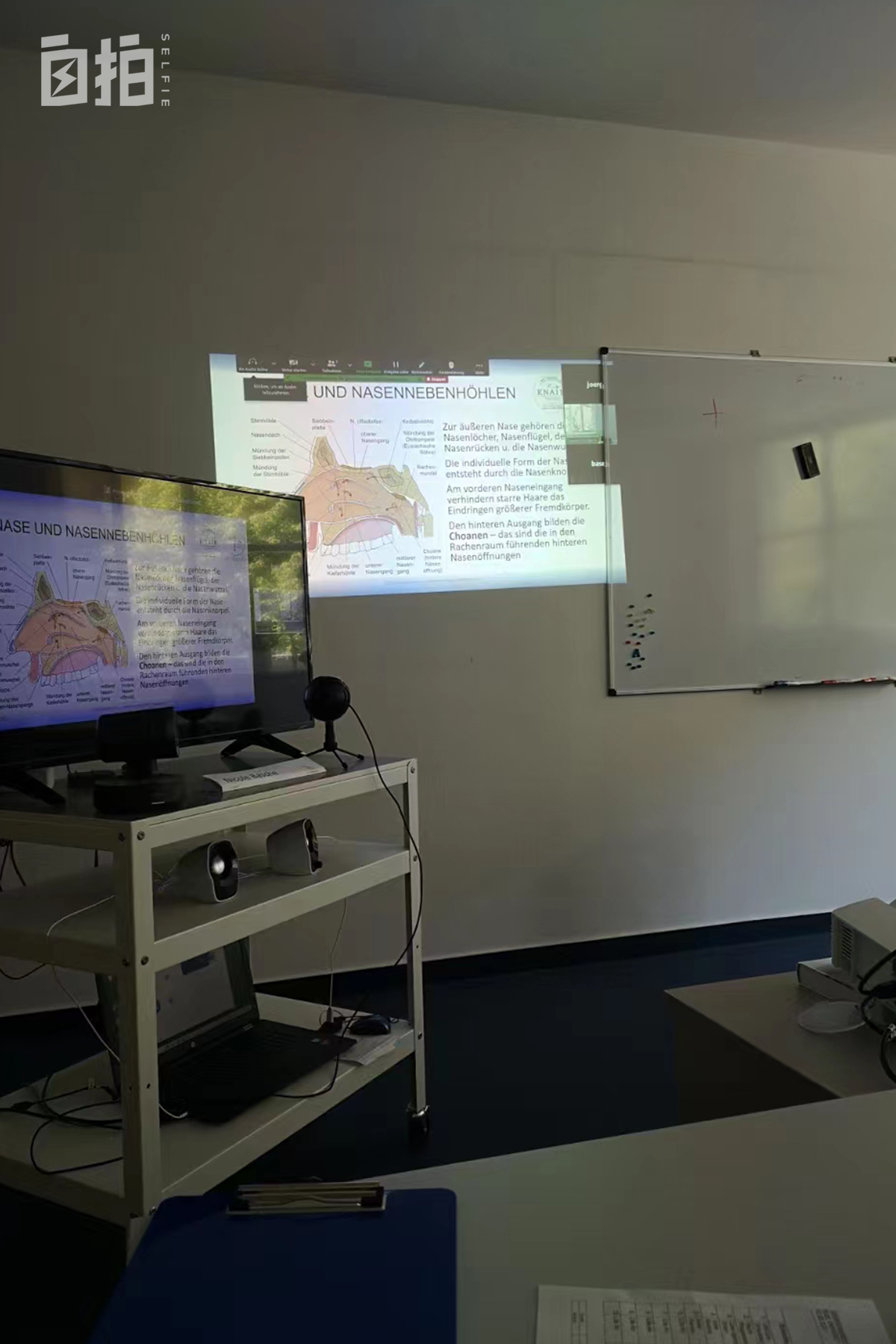 学德语在国内找哪些工作,中国人去德国做护士学习德语