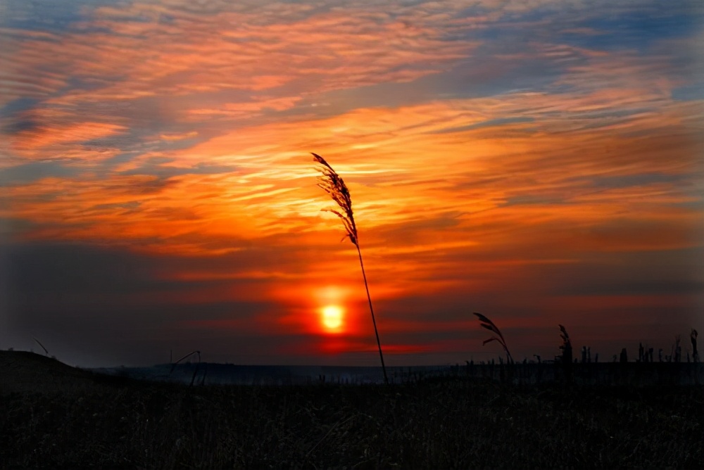 四位中师生的“风流”史