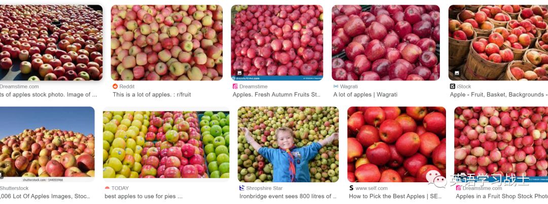 翻译中的思辨到底是什么？一个例子说明白