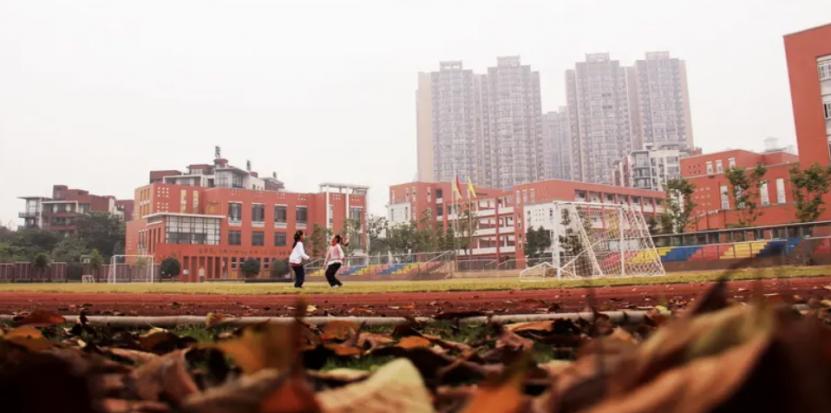 新都区引进优质教育资源,新都区和绵阳教育资源