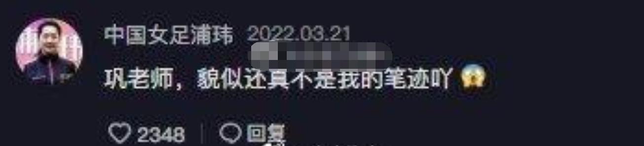 巩汉林足球签名赝品事件,巩汉林足球赝品