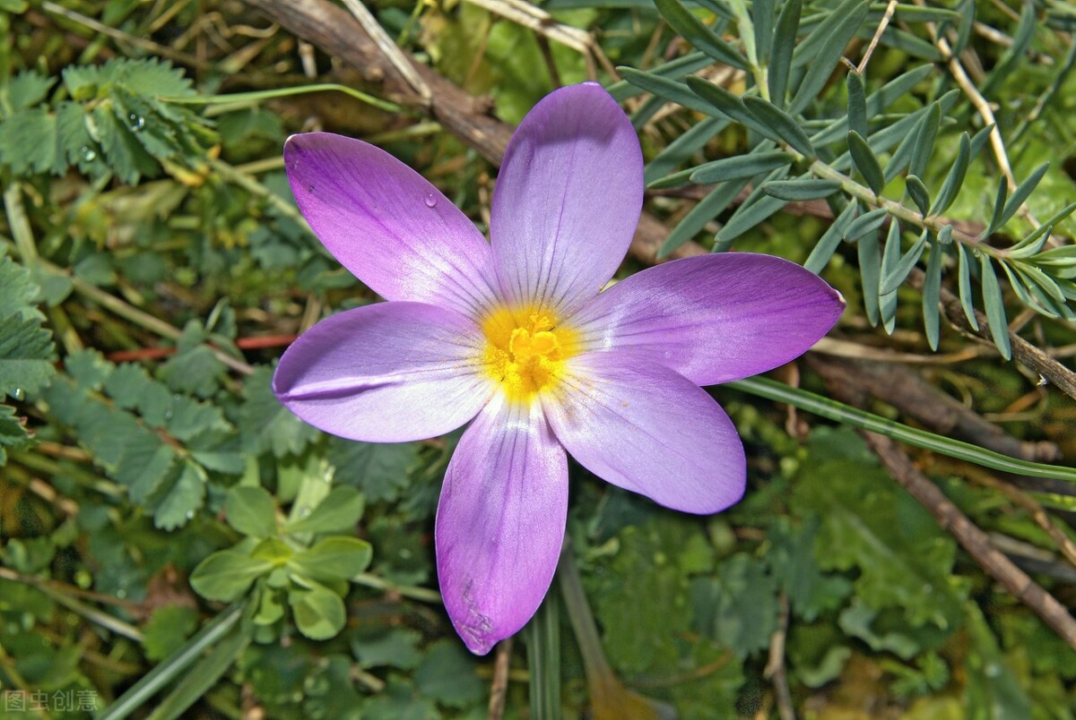 晒朋友圈老婆孩子照片唯美的句子,立冬的唯美句子朋友圈高质量句子