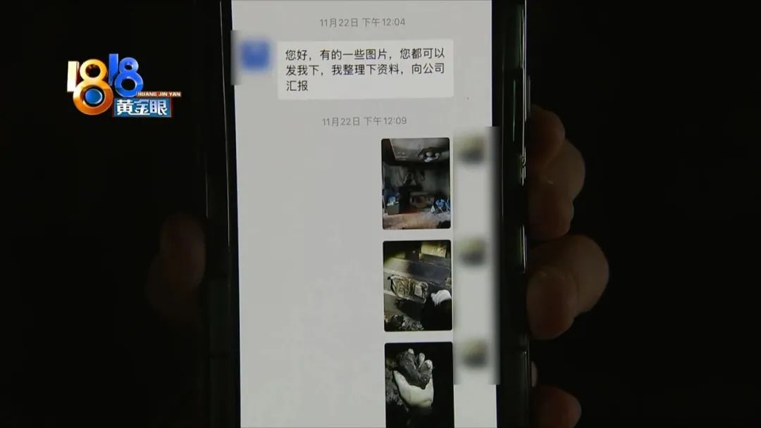 发生火灾小狗死亡,客厅着火原视频