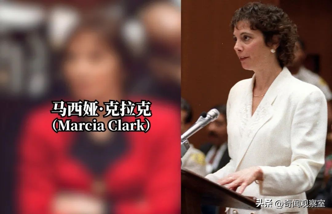 辛普森案真相解析,辛普森案真相解密