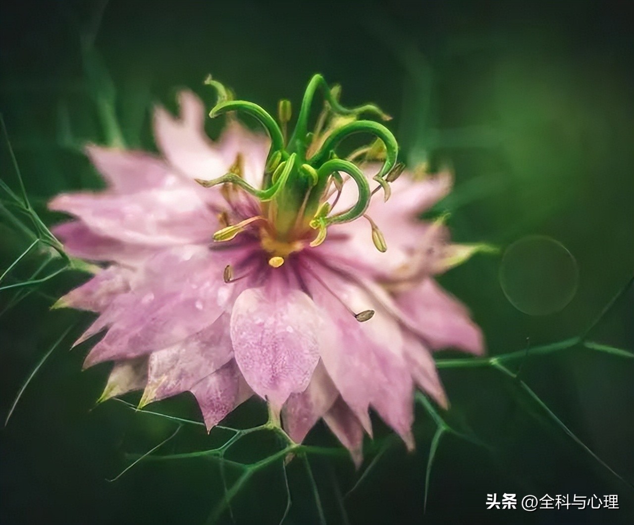 风雨迷茫的早安语,心情不好迷茫的早安文案