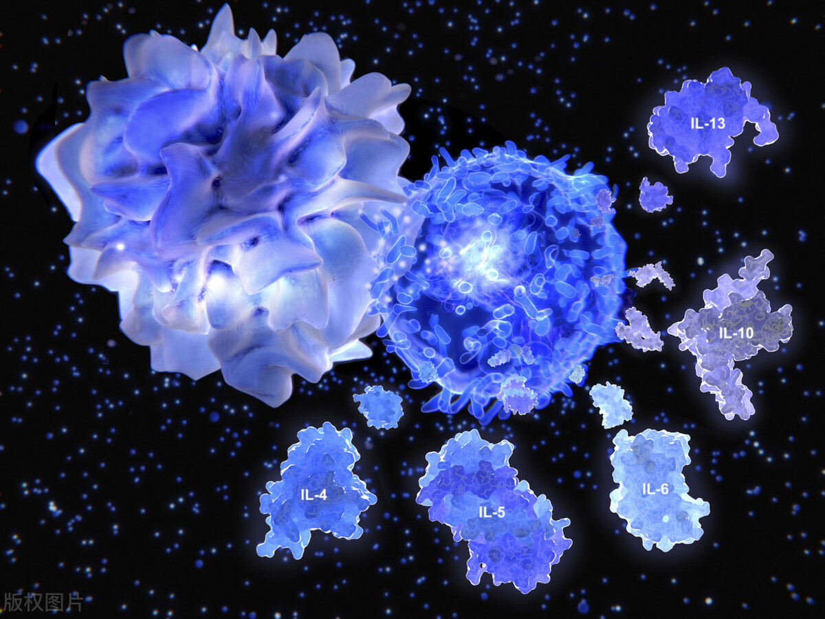 经常吃水煮蛋伤不伤肝,吃水煮蛋到底养肝还是伤肝