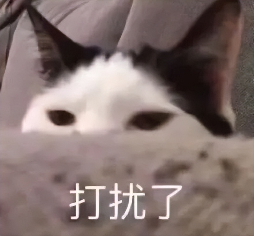 梅西百货帝国现状,梅西百货竞争力下降的原因