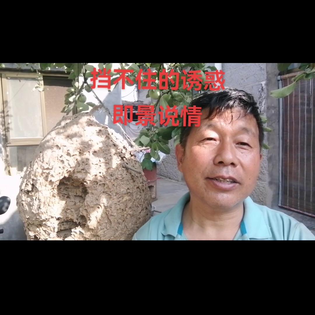 夫妻间最好的礼物该是什么呢,夫妻之间最珍贵的礼物是彼此