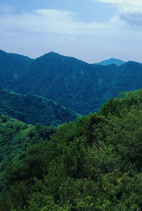 519旅游日免门票广西,2024年519中国旅游日景区优惠