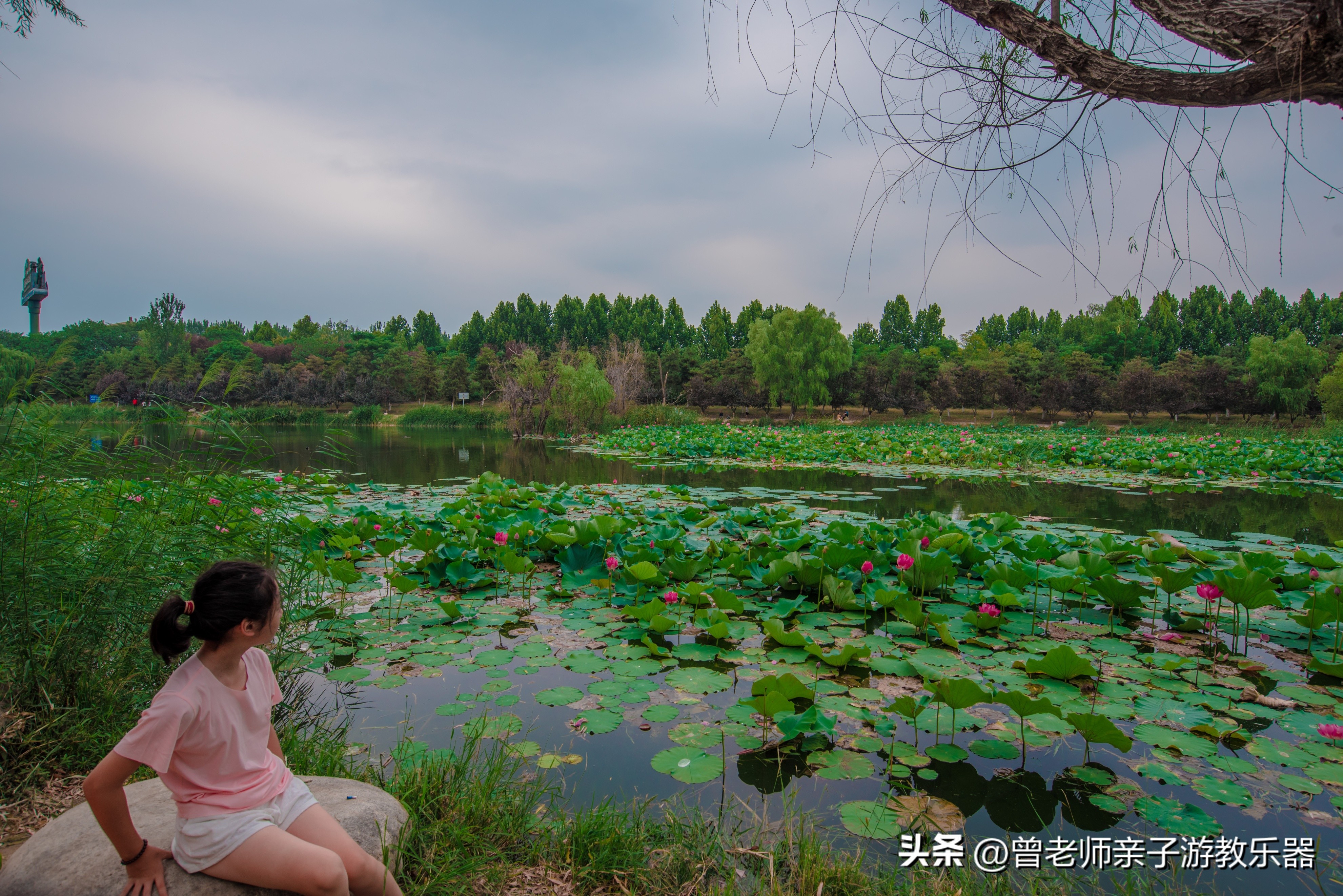西安秋天野营免费地点,西安秋天露营地免费地点