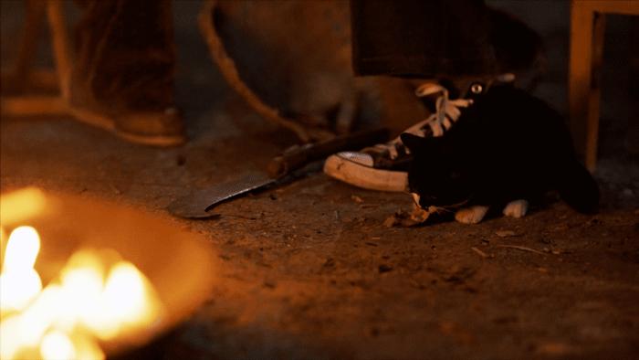 一种境界一种胸怀,独处的唯美境界