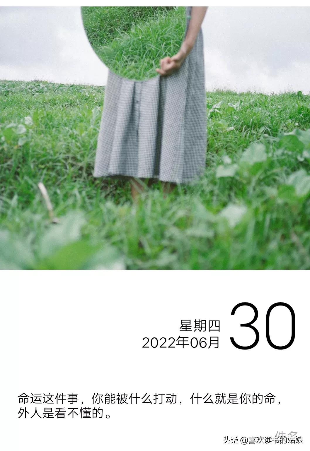 密室杀鱼案件,水族箱杀人案