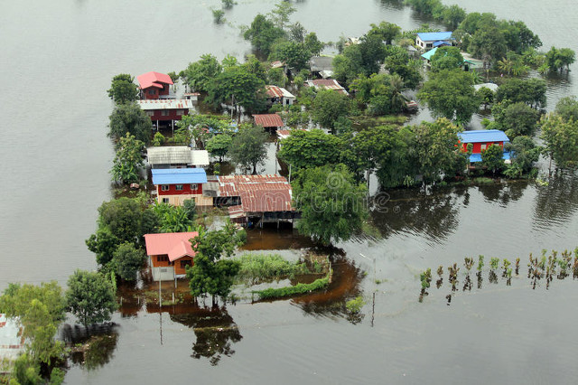 寻找七姐,寻找老年人聊天约会