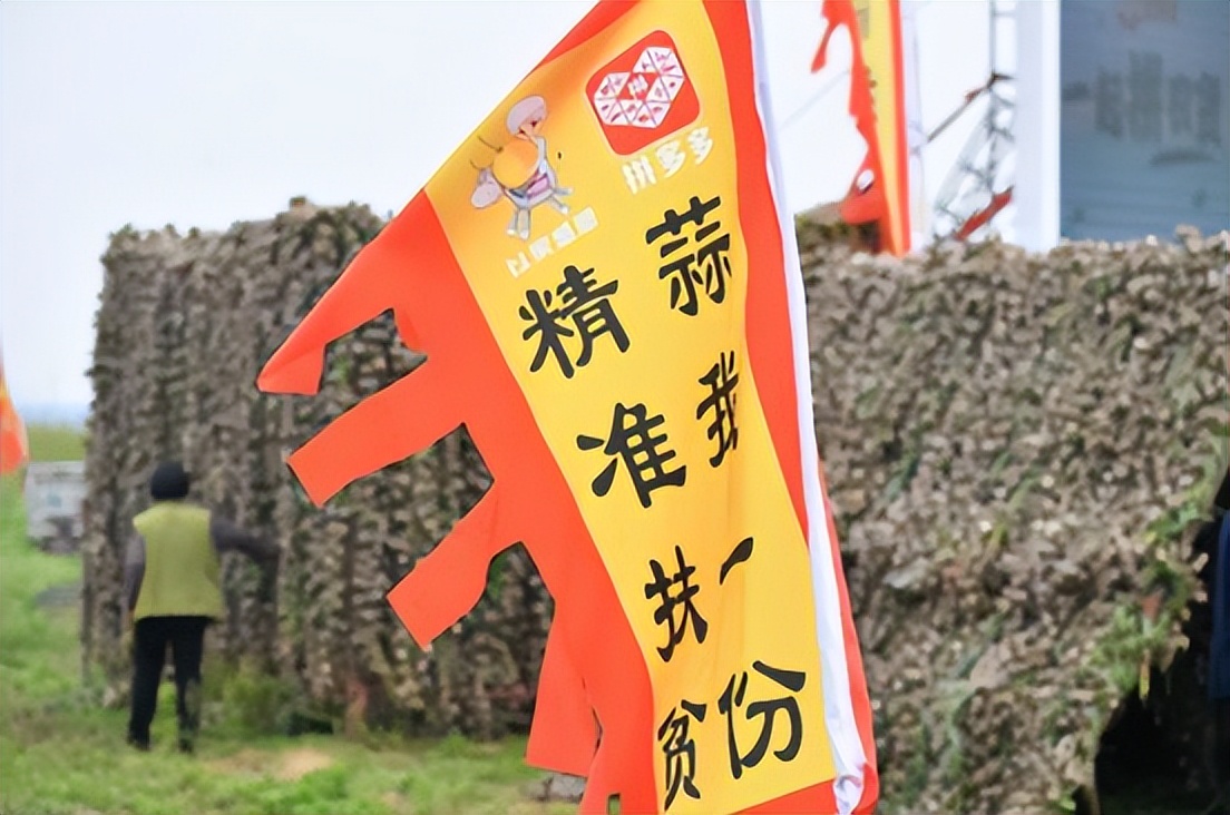 拼多多这个平台的底层逻辑是什么,拼多多平台为什么要做亏本生意