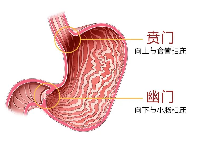 抑酸药吃了还是烧心正常吗,为什么吃了抑酸药还是反酸烧心