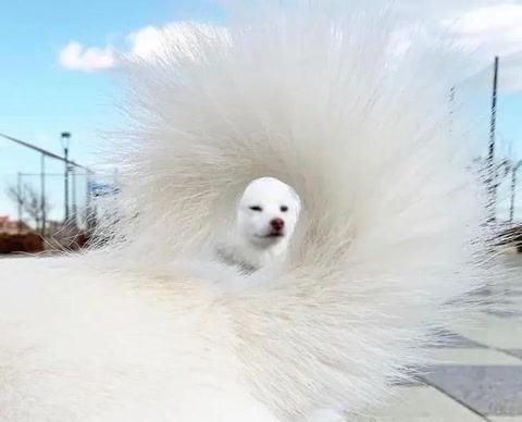 十大经典抓拍照片,100张绝美摄影照片