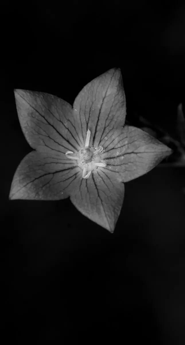 黑暗系的壁纸文字,黑暗色系的壁纸