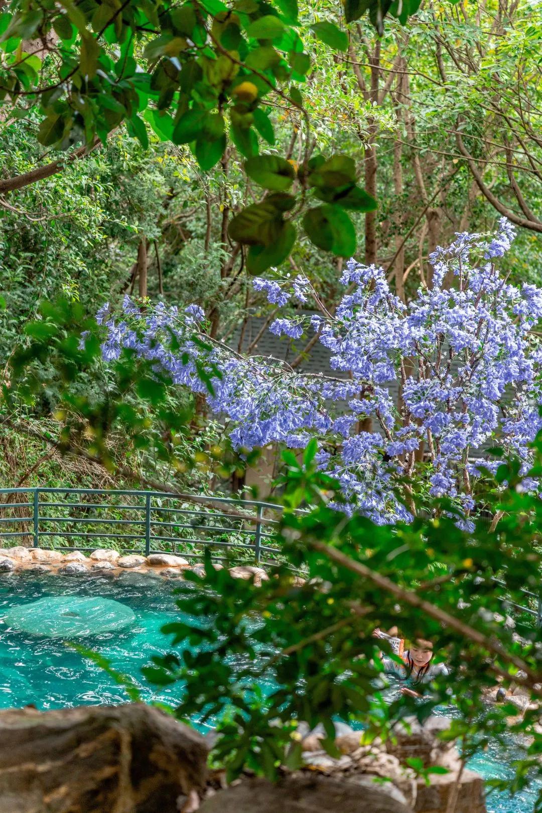 昆明温泉亿壕,昆明可以住一晚的泡温泉景点