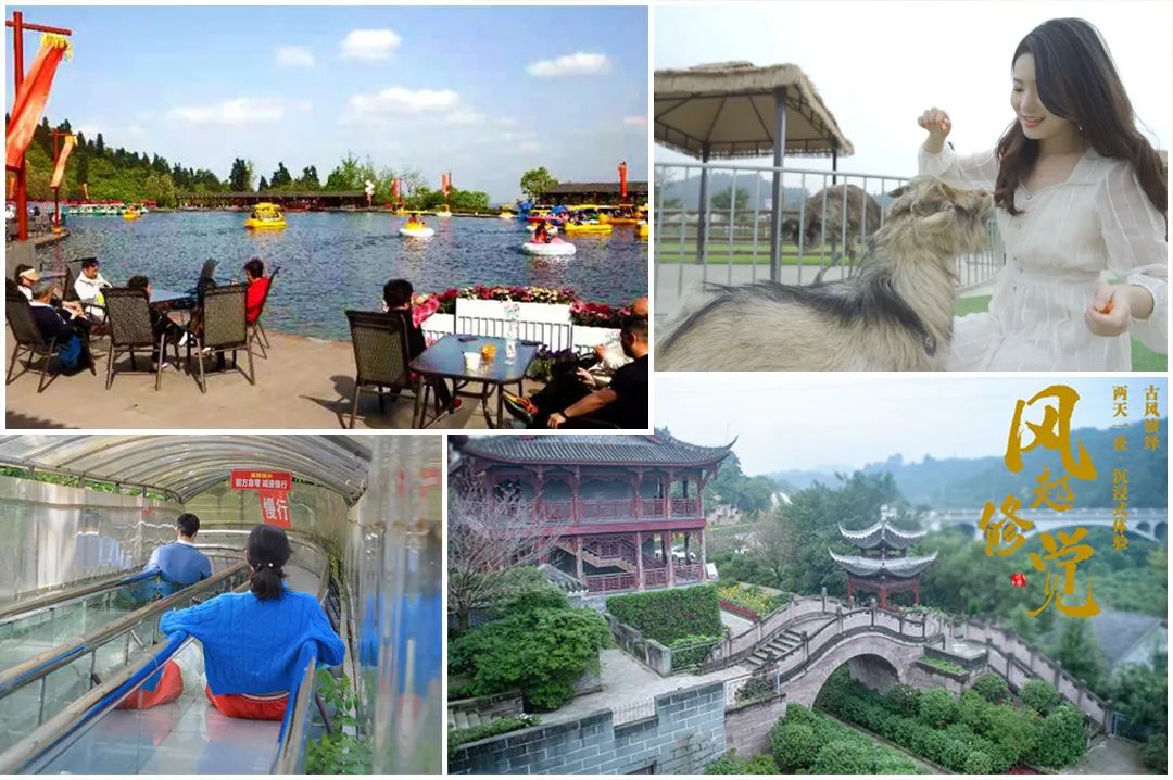 花卡特惠,新春钜惠不容错过