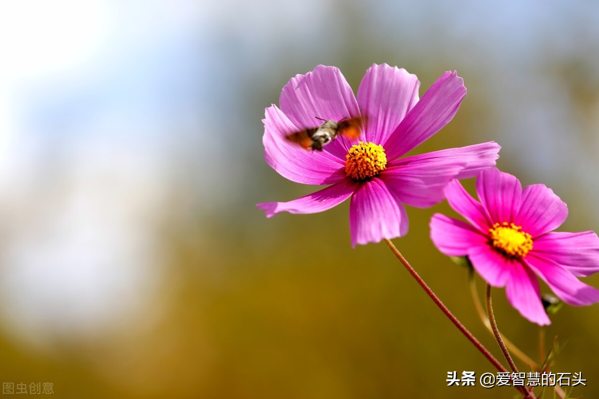 讨厌一个人用不着翻脸的文章,面对很讨厌的人用不着翻脸