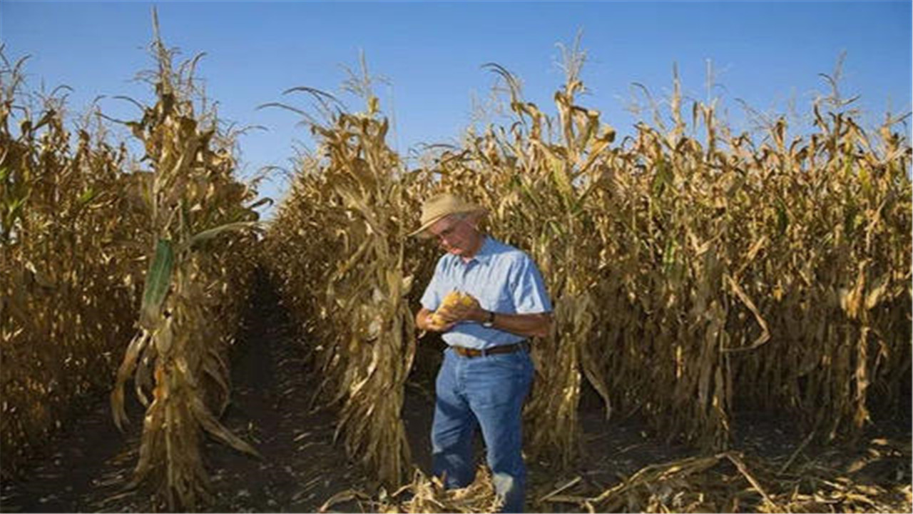 雪上加霜,美国债务尚且还没捋清楚,我国买家三周内取消多笔大单