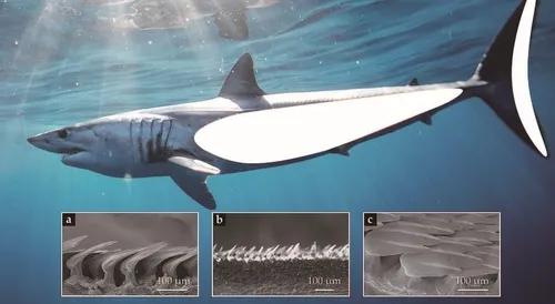 未来十年最有前景的科技,即将改变的十大科技