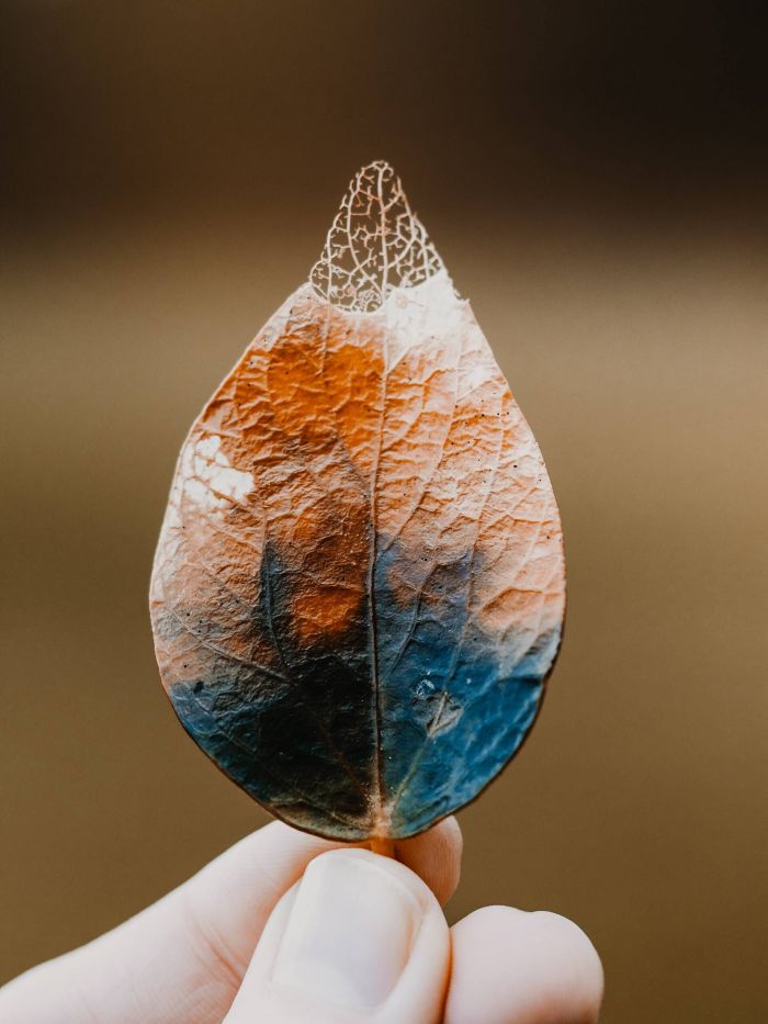 展示时间视频素材,展示时间的照片