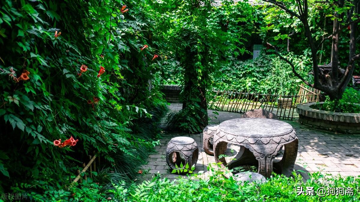 从底层开始小说,底层生活小说全集