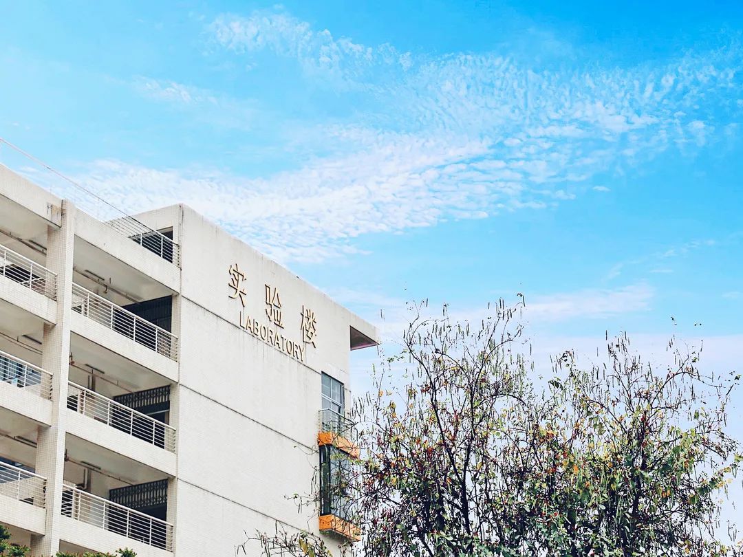 广州体育学院学士学位,广州体育大学硕士