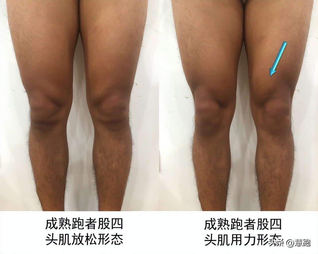 从小白到职业健身选手,从小白到健身一年的变化