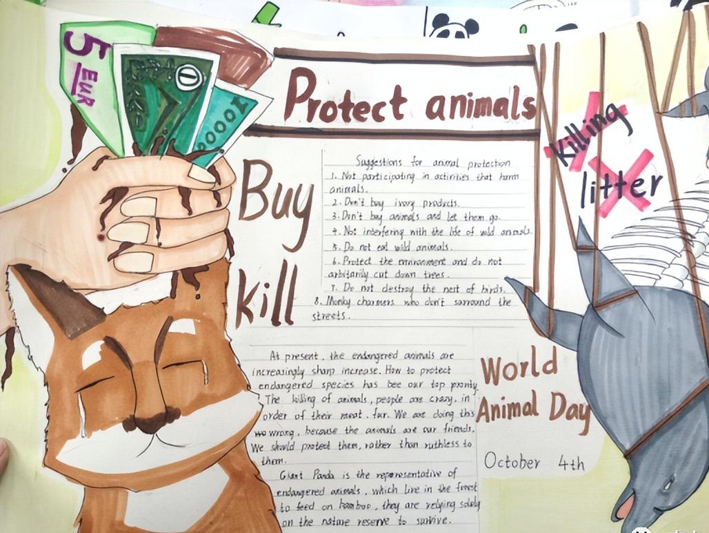 保护动物的英语手抄报六年级图文,英语保护动物手抄报六年级内容