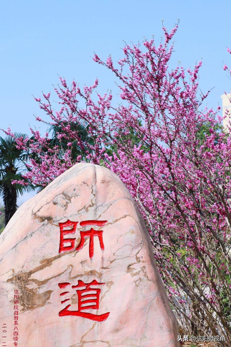 信阳师范大学：建设高水平师范大学，我们始终在路上