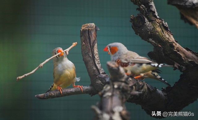 给你讲个睡前小故事吧,给你讲个睡前小故事