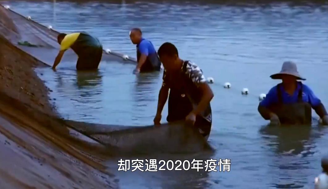 广东一富家女，接手父亲生意，养殖鳗鱼1年，靠4大招年入10亿