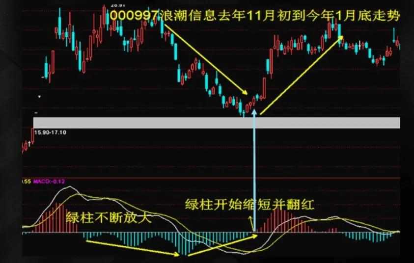 炒股必学基础知识,炒股基础知识入门教学
