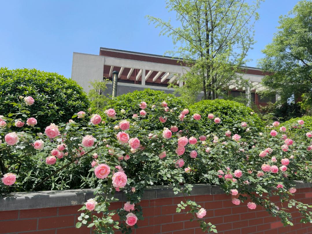 成都七中致学生的一封信,成都七中一封信