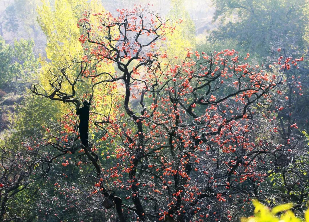 西安大唐不夜城网红风景,大唐不夜城网红景区