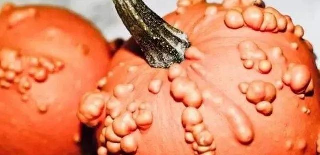 老公有hpv老婆感染的几率有多大,老婆感染hpv老公是不是也感染了