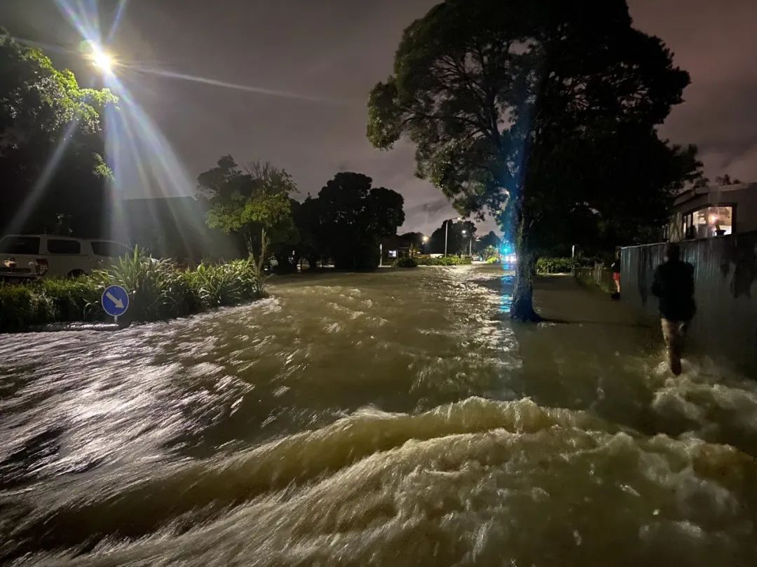 孙哥在新西兰:15岁退学,17岁生子,28岁出国,一小时挣200元