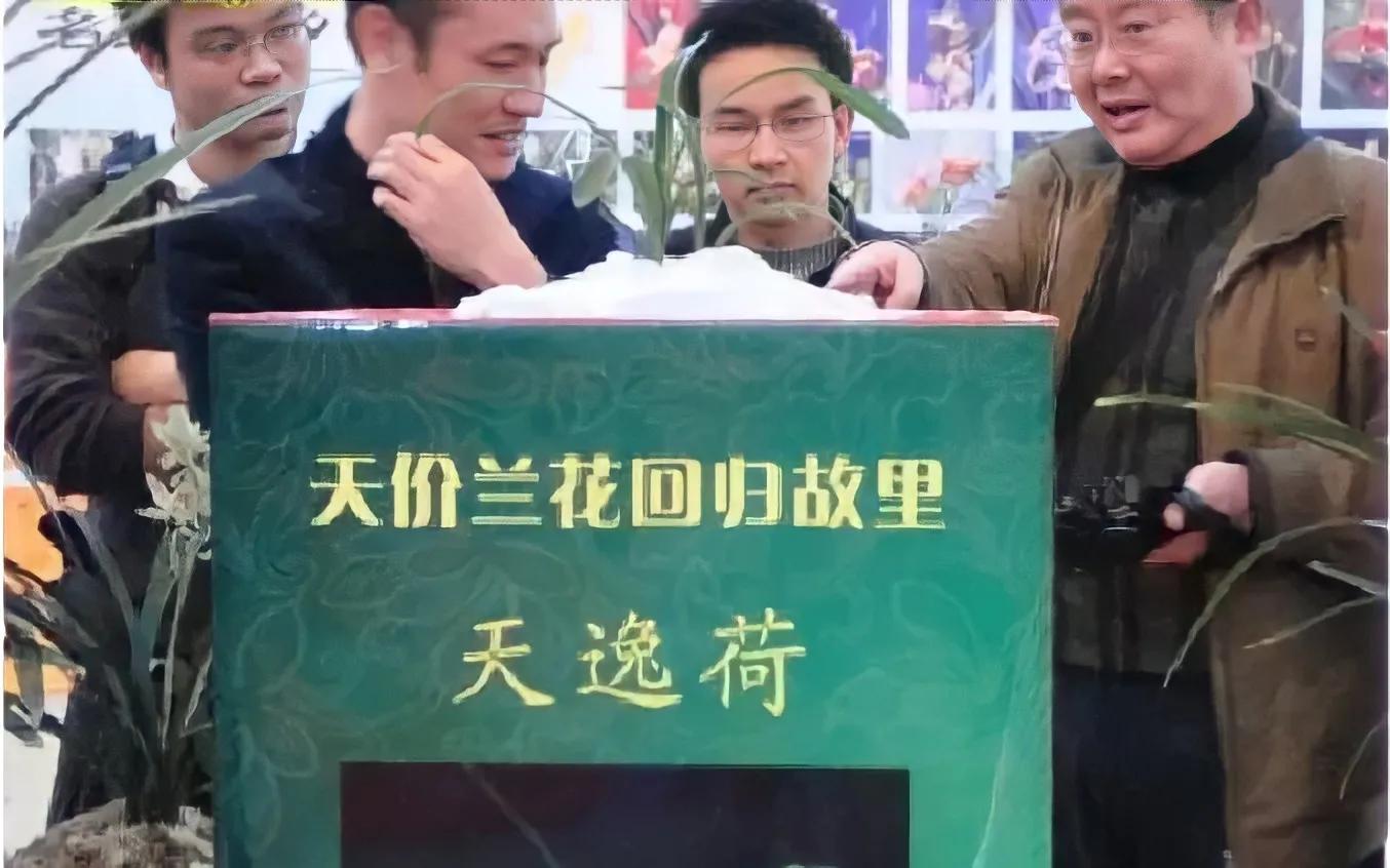 1992年贵州农民种出新品种兰花，他花1万元买下，后来怎么样了