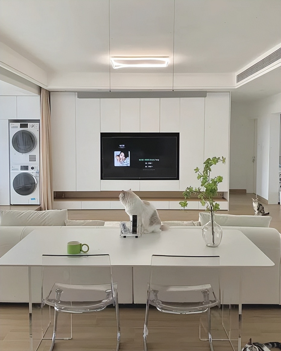 这4种家电太贵的不值得入手,这4款家电不要买费钱费力太麻烦