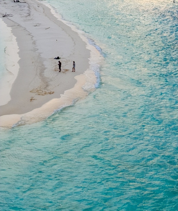 文献检索实用教程题库及答案,文献检索内部教程