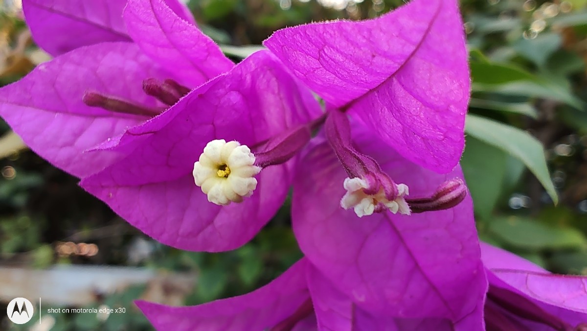 骁龙8处理器最便宜的千元机,2999买骁龙八核的红米k50至尊版