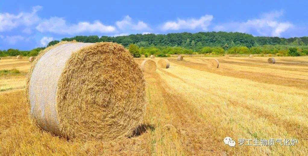 生物质直燃炉,生物质直燃与气化热效率差别