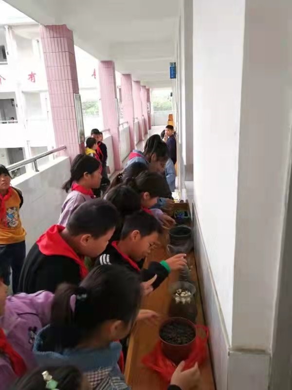 缤纷冬日寒假实践活动手册,幸福寒假实践活动手册