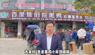 准岳父下跪求他离开女儿，决心创业进深山养鸡16年，带领村民致富