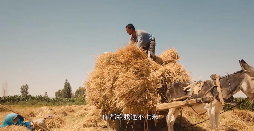 隐入尘烟票房破9000万,隐入尘烟票房破7000万