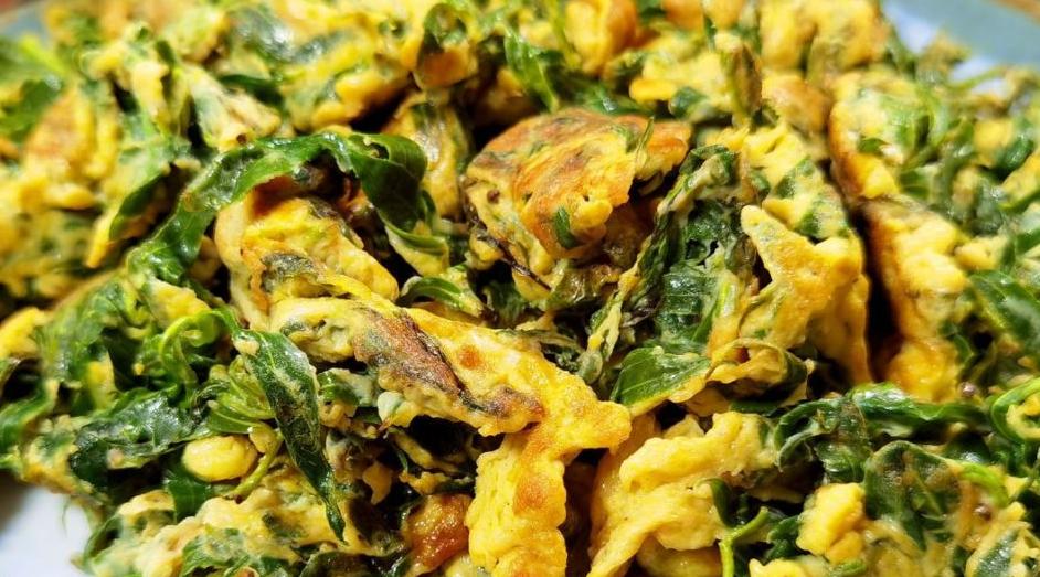 除湿热健脾胃最好的菜,健脾胃祛湿热的食谱儿童