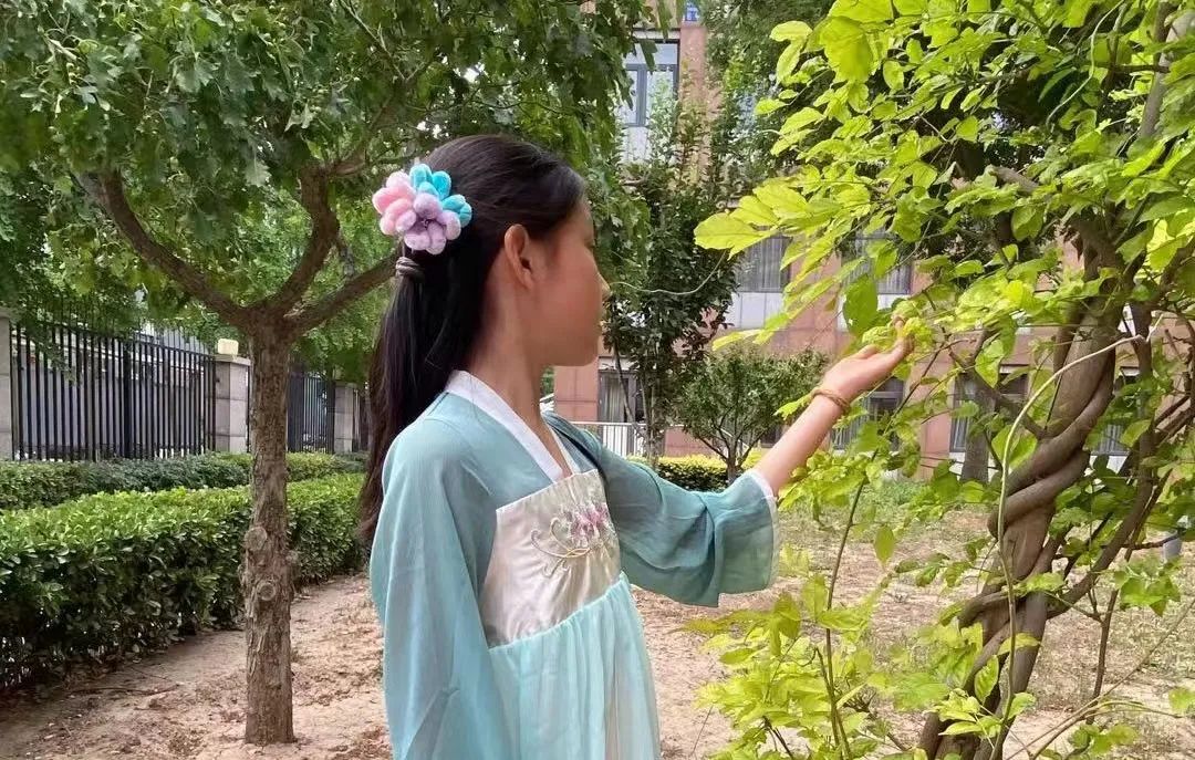 北京市润丰学校在哪里,北京市朝阳区润丰中学